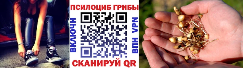 Псилоцибиновые грибы мицелий  hydra ССЫЛКА  Заполярный 